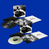 Pack Vinilo - Vinilo estándar + Vinilo Verde Botella