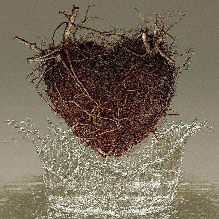 Las canciones del agua edición Vinilo 12" estandar