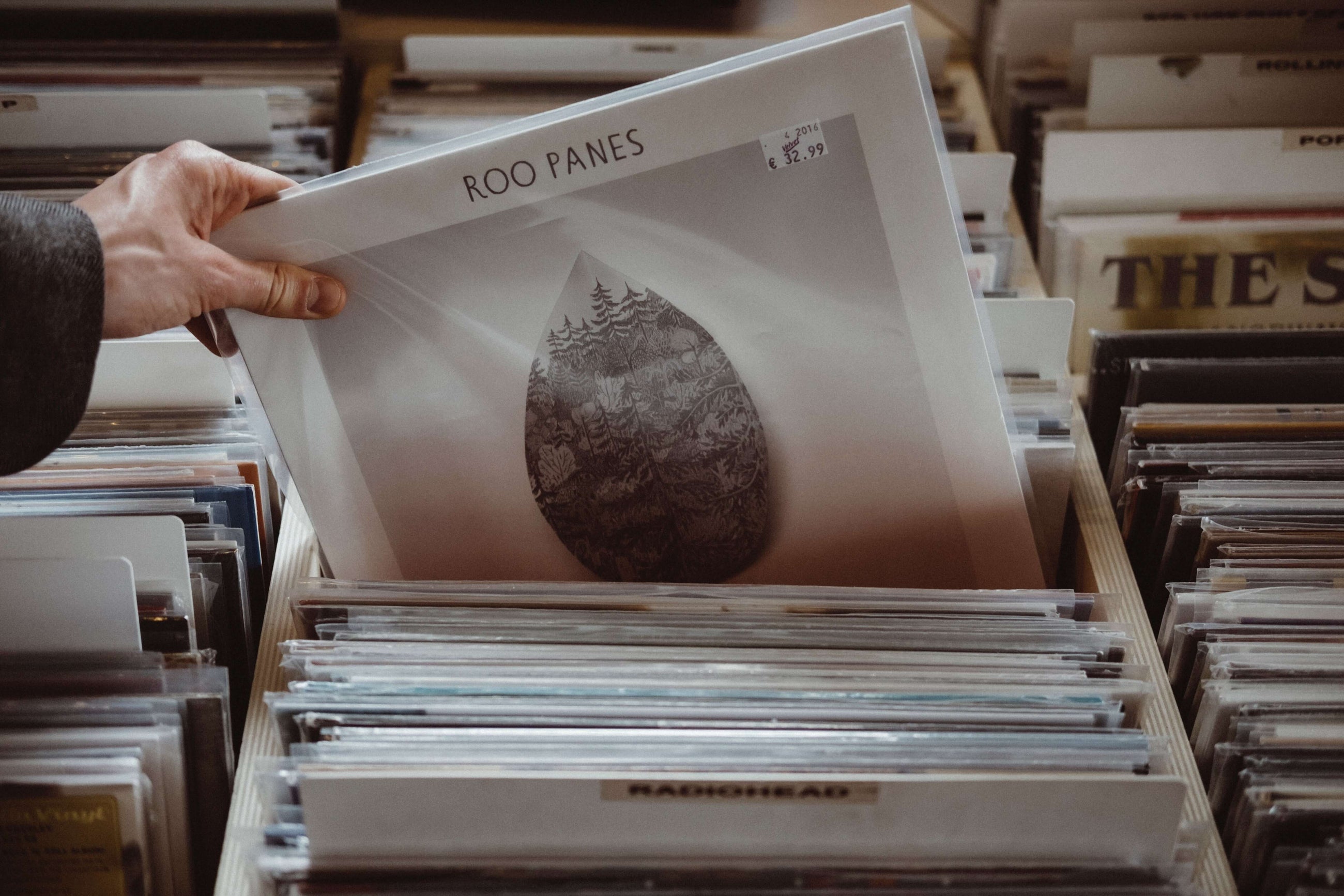 Vinilos