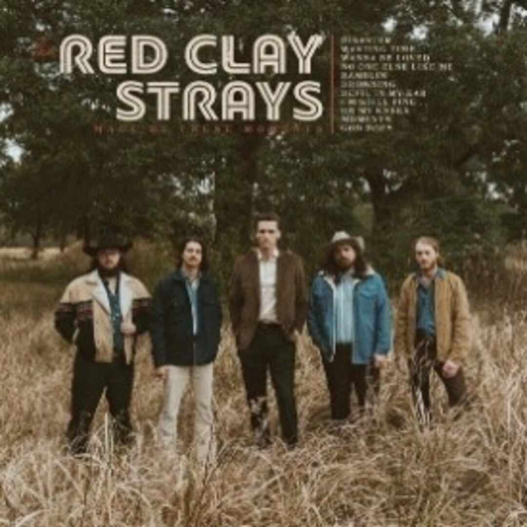 Made by these moments Lp color oro opaco The red Clay Strays  en smfstore