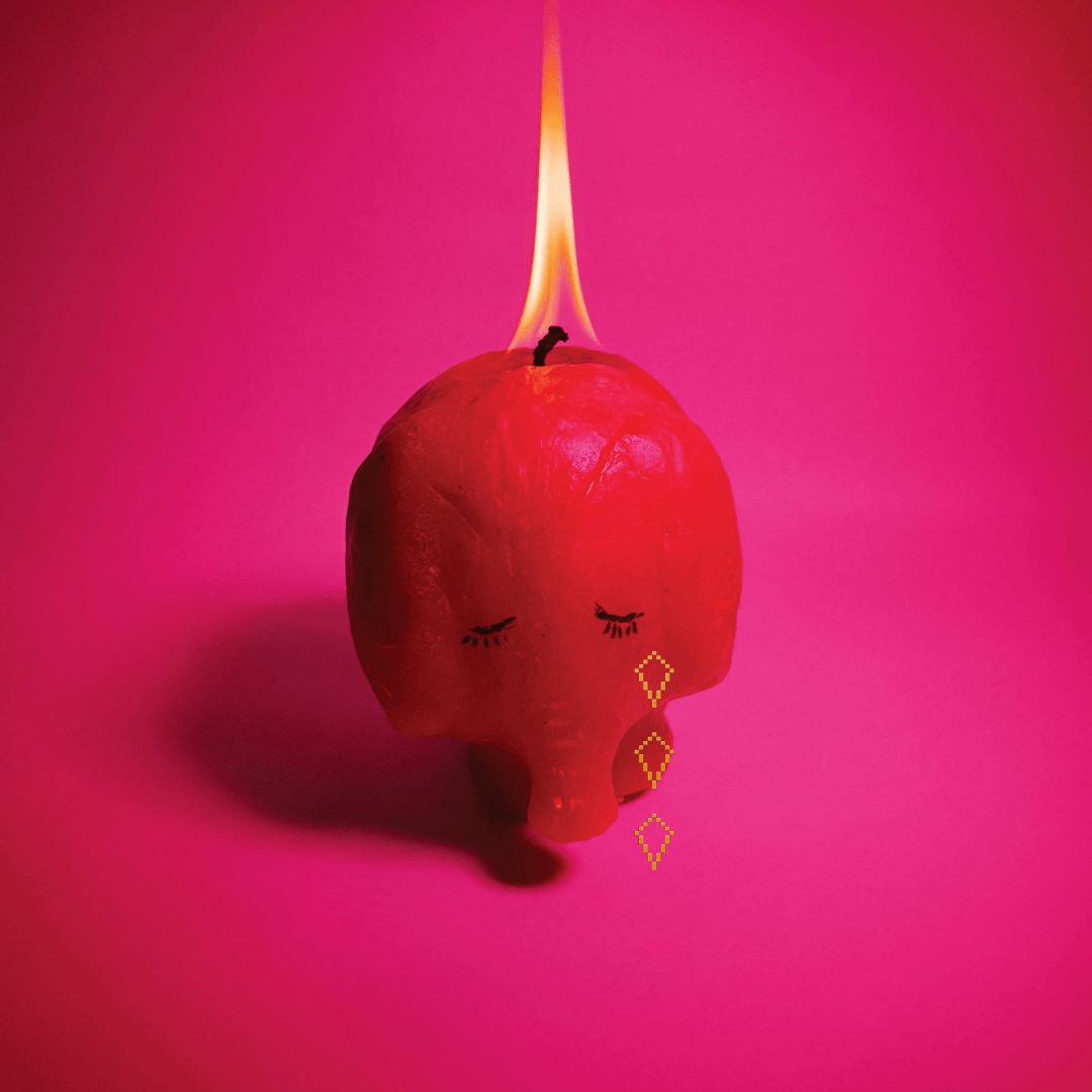 Arcade Fire, Pink Elephant, 1 Vinilo Colored - Indie Exclusive, nueva musica, Alternativo en SMFSTORE