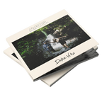 Dolce Vita CD Amaral en SMFSTORE