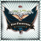 In Your Honor 2LPs Foo Fighters en Sony Music Store