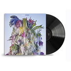 Cousin LP Wilco en Sony Music Store