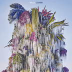 Cousin LP Wilco en Sony Music Store