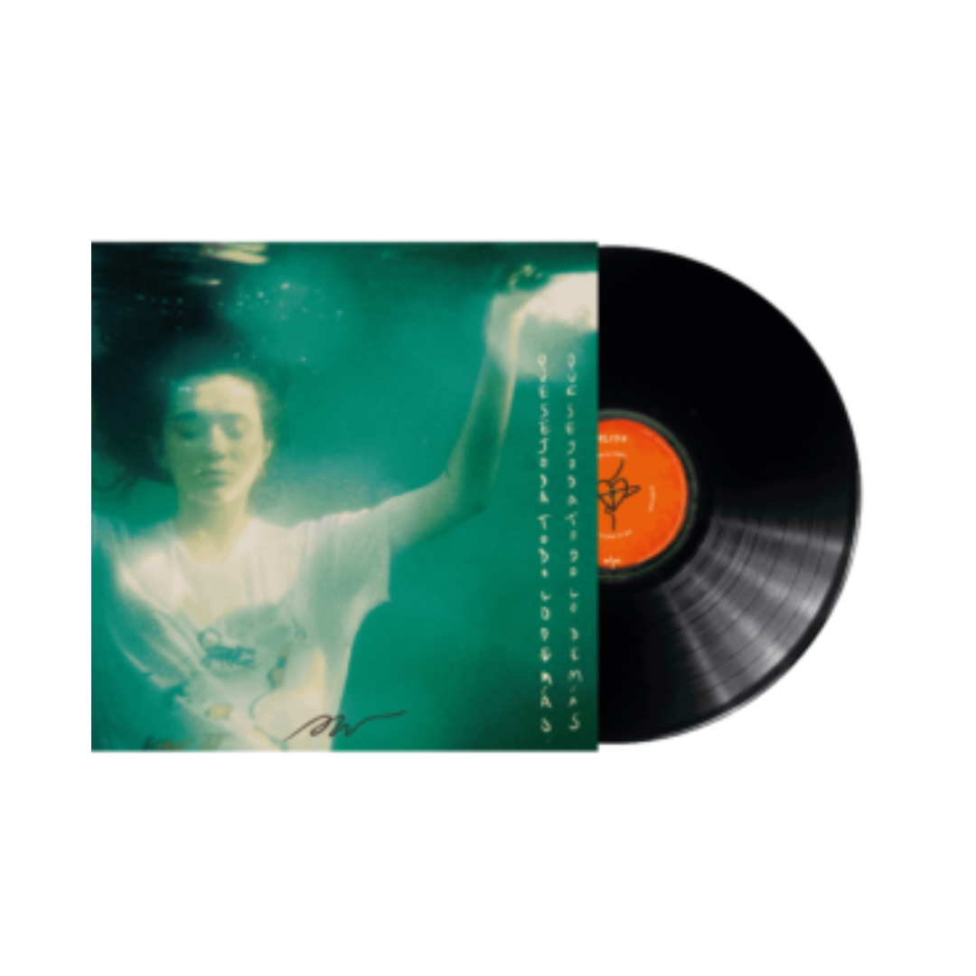 Que se joda todo lo demás LP Alicia Wonder en Sony Music Store