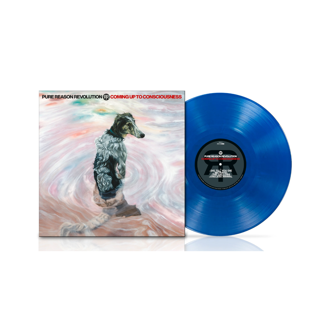 Coming Up To Consciousness LP Color