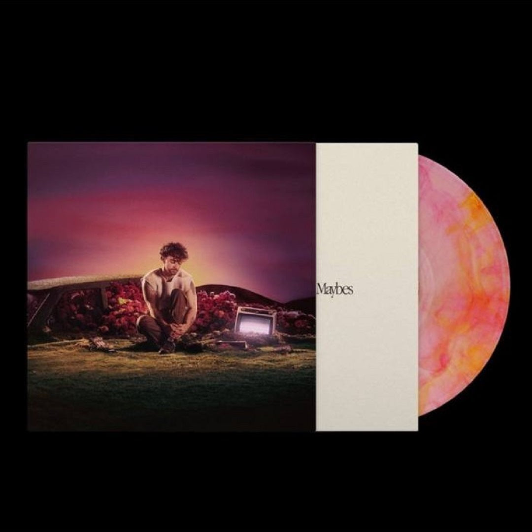 What Ifs & Maybes LP color Tom Greenan en Smfstore