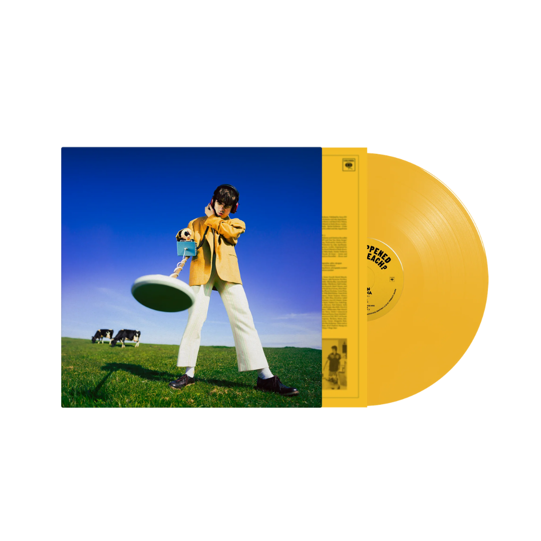What Happened to the Beach? LP Amarillo Declan McKenna en Sony Music Store