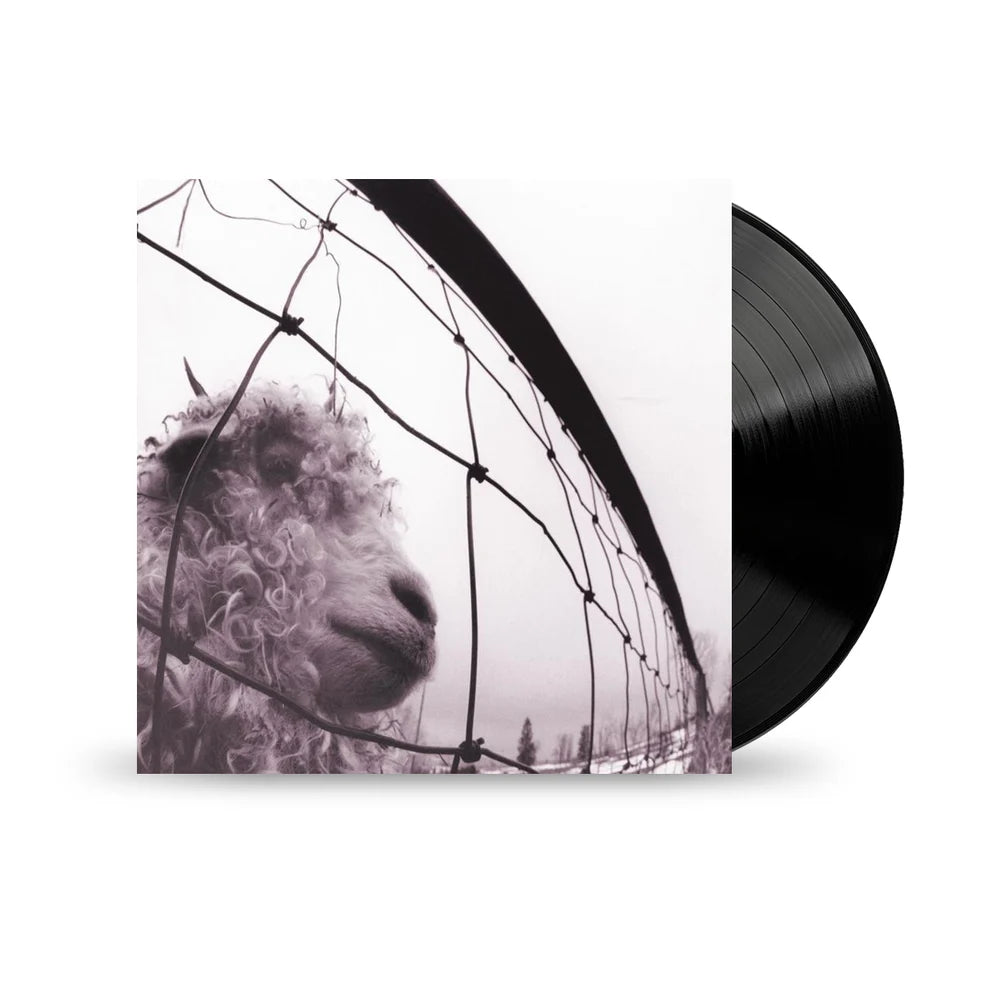 Vs. LP Pearl Jam en Sony Music Store