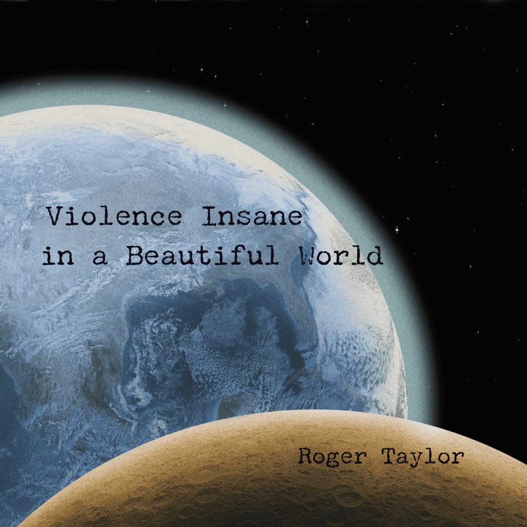 Violence Insane In A Beautiful World LP