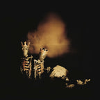 Riot Act 2LPs Pearl Jam en Sony Music Store